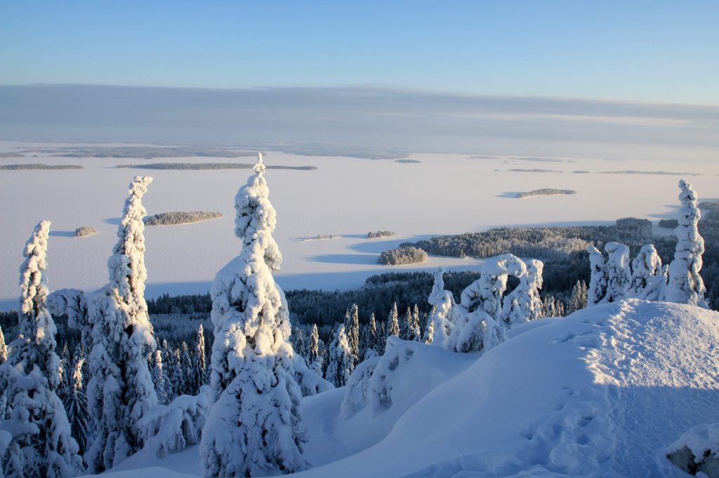 Asunto Kolin kolo on mahtava tukikohde luontoliikkujalle talvella ja kesällä. Tustuminen koko Kolin alueeseen on helppoa asunnolta.